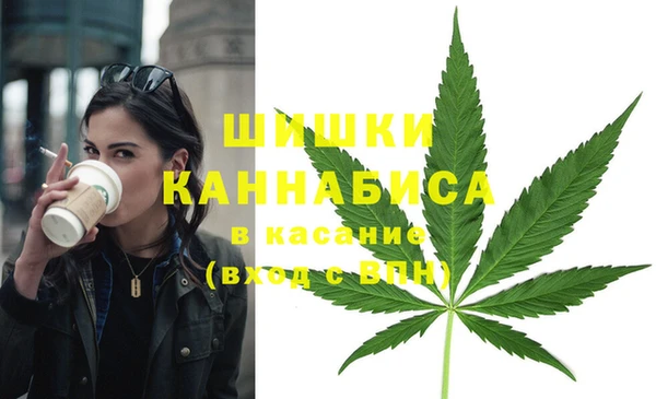 винт Абаза
