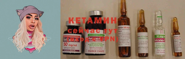 прущие грибы Семёнов