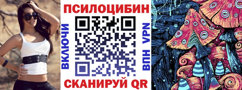 Псилоцибиновые грибы прущие грибы где купить MEGA рабочий сайт Кинешма