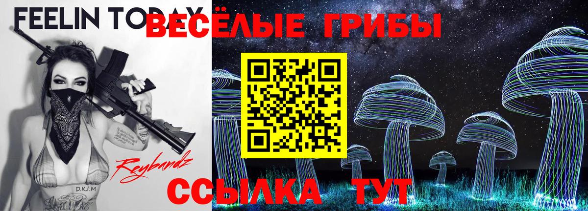 Псилоцибиновые грибы мухоморы  Вход с VPN  Кинешма 