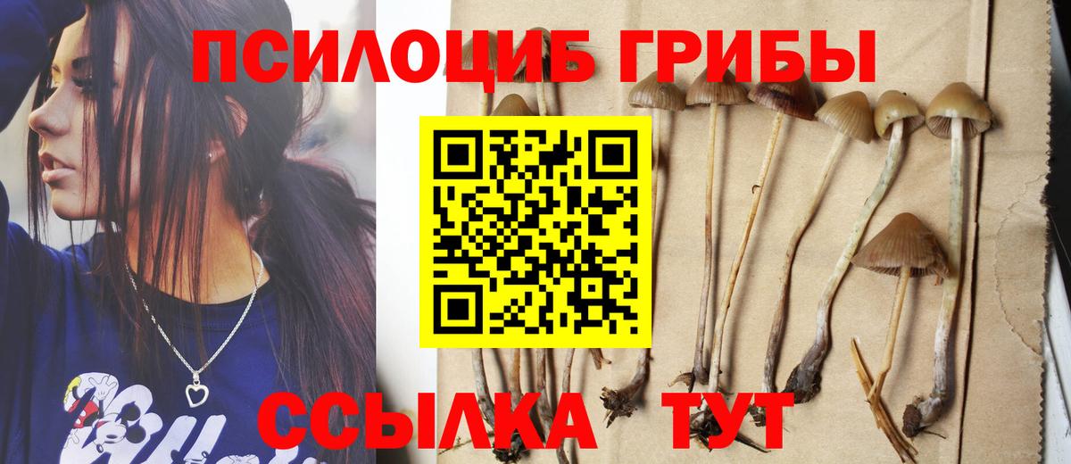 Псилоцибиновые грибы мухоморы Кинешма